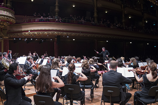 Orchestra 이미지
