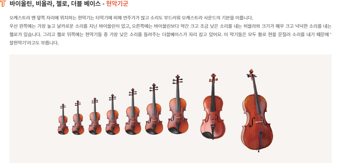 바이올린, 비올라, 첼로, 더블 베이스 - 현악기군